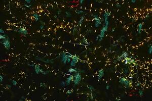 New Year Christmas background.Green fir branches with led galand photo