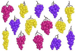 Set of different bunches of juicy grapes. Cartoon flat illustration of ripe berries vector