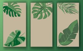 Set of three botanical-themed templates for social media posts, featuring green leaves on beige backgrounds, displayed against a green background. Concept of nature-inspired design vector