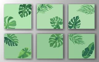Set of six green leaf social media post templates on a light green background. Each template features different leaf designs in a minimalist, modern style. Concept of nature and botanical themes. vector