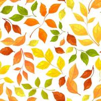 Colorful autumn leaves in various shades and shapes on a white background. Seamless pattern concept. illustration vector