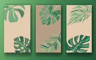 Set of three botanical-themed templates for social media posts, featuring green leaves on beige backgrounds, displayed against a green background. Concept of nature-inspired design vector