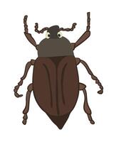 Illustration of a roach on a white background. vector