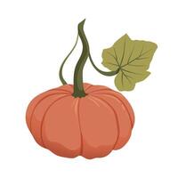 Ripe orange pumpkin. Healthy organic vegetable. Fall harvest gourds. Thanksgiving and Halloween autumn pumpkin. Flat cartoon illustration isolated on white background. vector