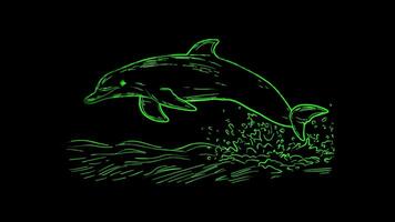 Neon frame effect,Smiling Dolphin A dolphin jumping out of the water with a big, happy smile. on black background video