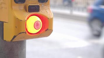 hand pressing crossing signal button which is turning red video