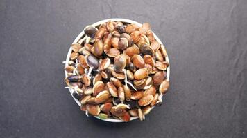 A Colorful Bowl Filled with Nutritious Sprouted Seeds Served on a Slate Background Surface video