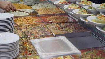 A Diverse and Expansive Buffet Spread Featuring a Variety of Colorful Dishes and Fresh Ingredients video