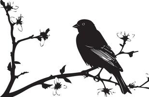 Black silhouette Sparrow bird on the branch vector