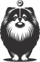 A pomeranian dog with a coin on its head vector