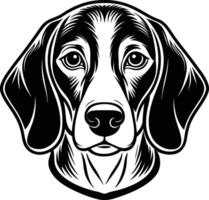 Beagle dog head vector