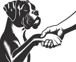 A black and white drawing of a boxer dog shaking hands vector