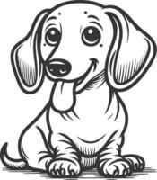 A cute dachshund dog is sitting in a drawing vector