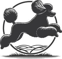 A poodle dog jumping over a grassy field vector