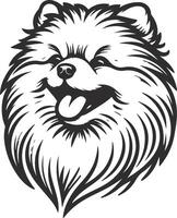 A pomeranian dog head is shown in a black and white drawing vector