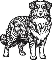 Australian shepherd dog coloring pages vector