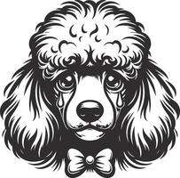 A poodle dog with a bow tie on its head vector
