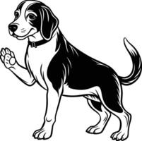 Beagle dog standing with paw raised vector