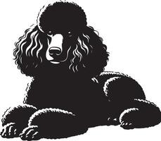 A black poodle dog is sitting down vector