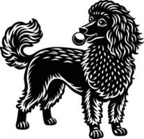 A black and white poodle dog with a ball in its mouth vector