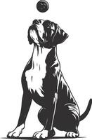 A dog is sitting on the ground with a ball in its mouth vector