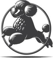 A poodle dog is running in a circle vector
