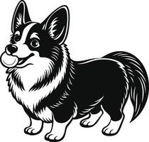 A black and white dog with a ball in its mouth vector