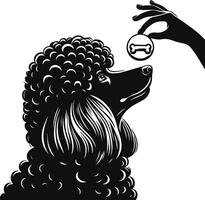 A black and white illustration of a poodle with a ball vector