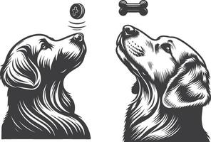 Two dogs are looking at a bone in the air vector