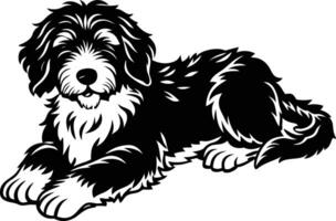 A black and white dog laying down on a white background vector