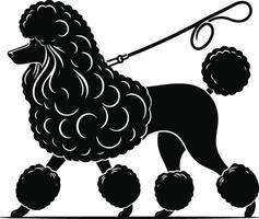 A black poodle dog with a leash and a bow vector