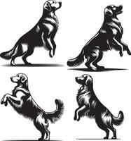 Four different dog silhouettes in different poses vector