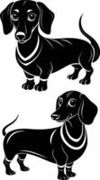 Two black dachshunds standing side by side vector