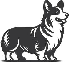 A black and white dog standing on a white background vector