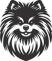 illustration of a pomeranian dog head isolated on white background vector