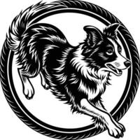 Border collie dog running in circle vector