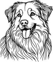Australian shepherd coloring pages vector
