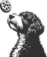 A dog looking up at a cookie vector