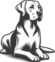 A black and white drawing of a labrador retriever vector