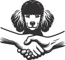A black and white illustration of a poodle dog shaking hands with two hands vector