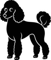 A black poodle dog is standing in front of a white background vector