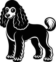 A black and white poodle dog is standing in front of a white background vector