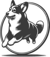 A black and white dog running in a circle vector
