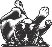 A dog laying on its back with its paws up vector