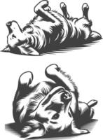 Two black and white illustrations of a dog lying on its back vector