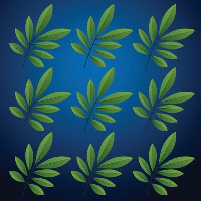 leaf Backgrouond of Repeating Beauty Design and Nature Repetition to Complex A Journey Through Symmetry