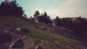 Lush hillside with large rocks and trees under a clear sky in summer video