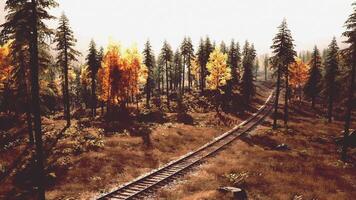 szenisch Herbst Landschaft mit Eisenbahn Spuren Wicklung durch bunt Bäume video