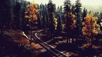 Colorful autumn trees line a winding railway track in a serene forest video