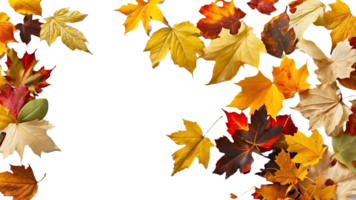 Crisp Fall Leaves in Motion, Perfect for Transparent Background Use in Product Promotions and Posts png